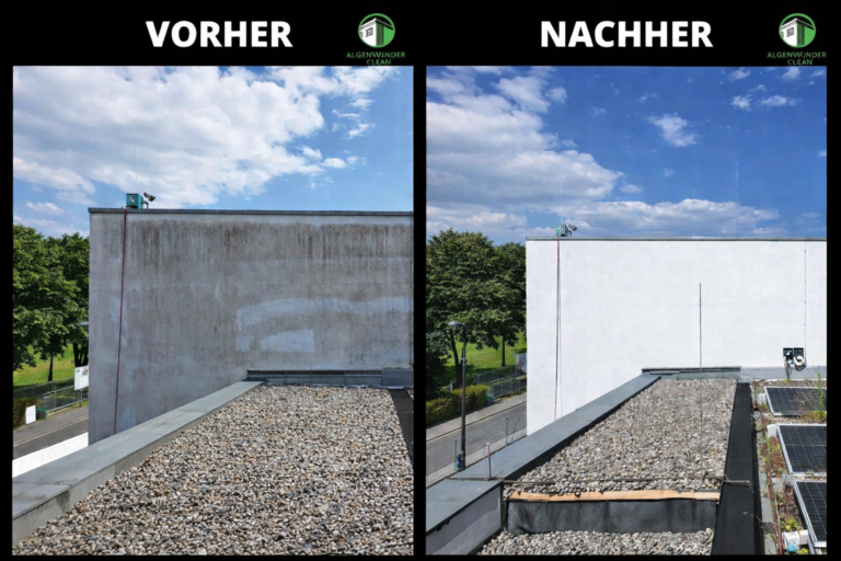 Algenwunder – Fassadenreinigung in Öhringen & Umgebung ALGENWUNDER-CLEAN_FASSADENREINIGUNG_ÖHRINGEN_VORHER_NACHER (2)