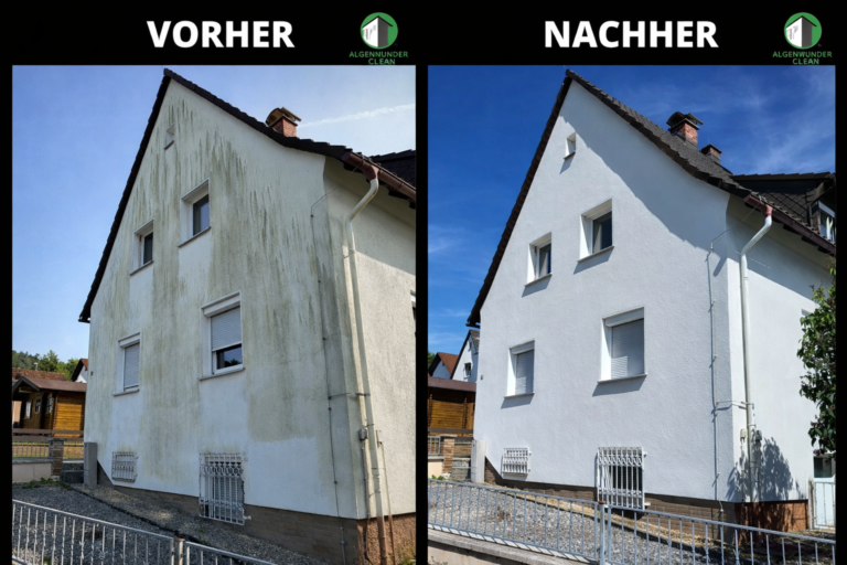 Algenwunder – Fassadenreinigung in Öhringen & Umgebung ALGENWUNDER-CLEAN_FASSADENREINIGUNG_ÖHRINGEN_VORHER_NACHER (4)