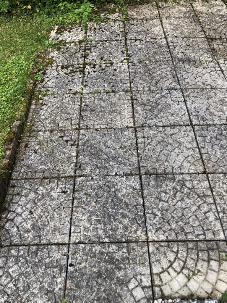 Verwitterter Gartenweg mit Moos, Algen und Umweltschmutz