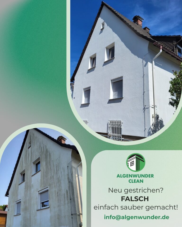 Algenwunder – Fassadenreinigung in Öhringen & Umgebung IMG_7587